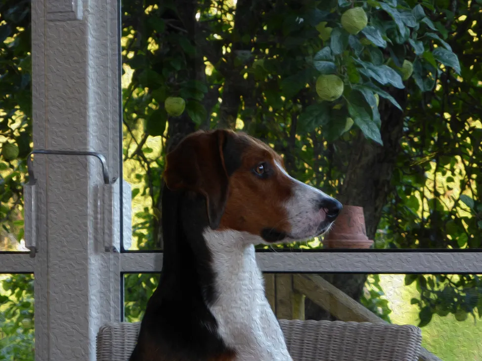 Klicka för att förstora