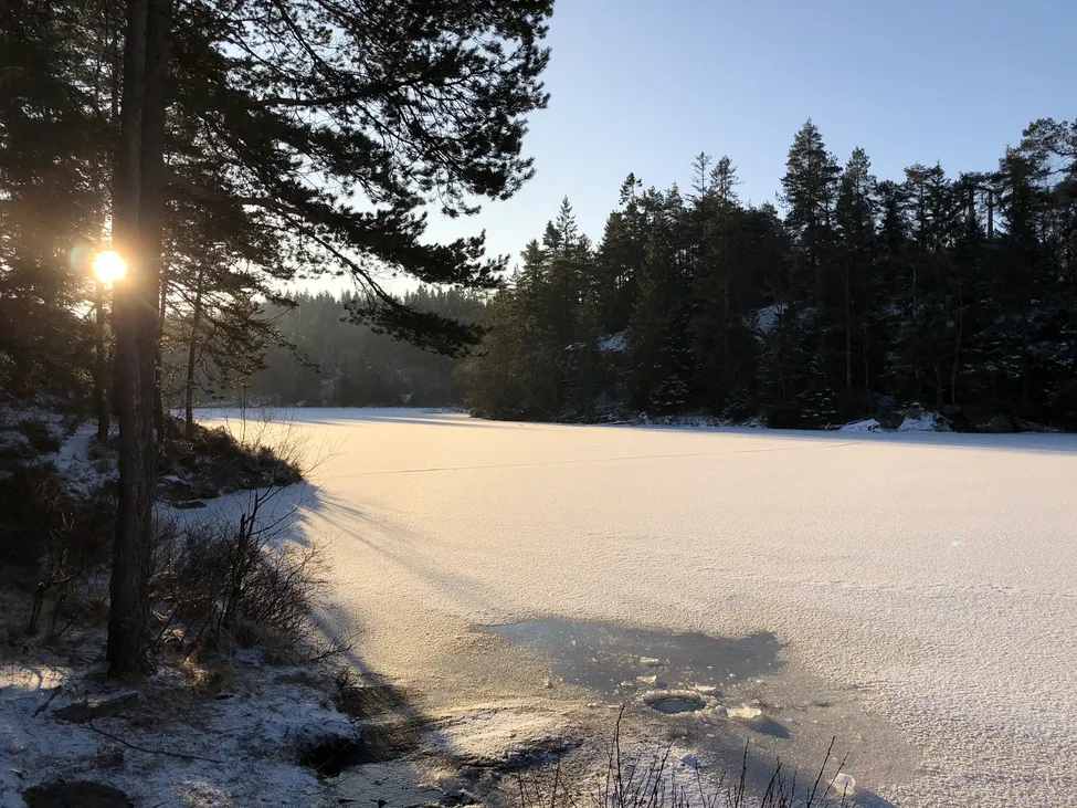 Klicka för att förstora