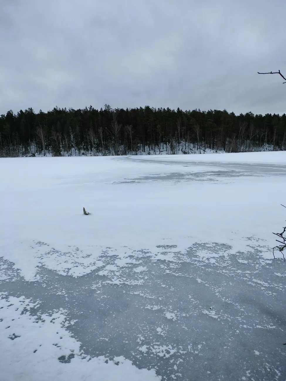 Klicka för att förstora