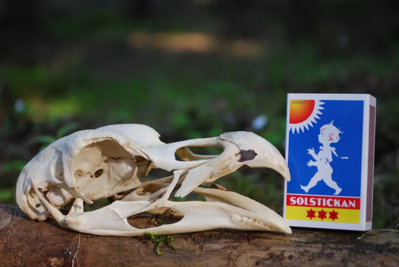 Klicka för att förstora