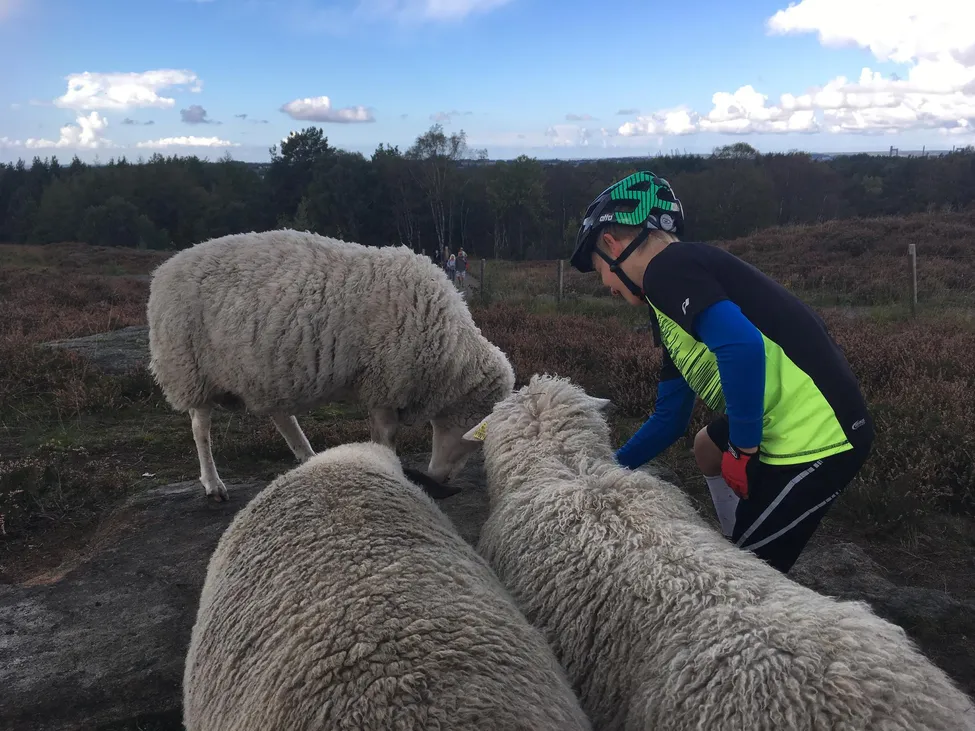 Klicka för att förstora
