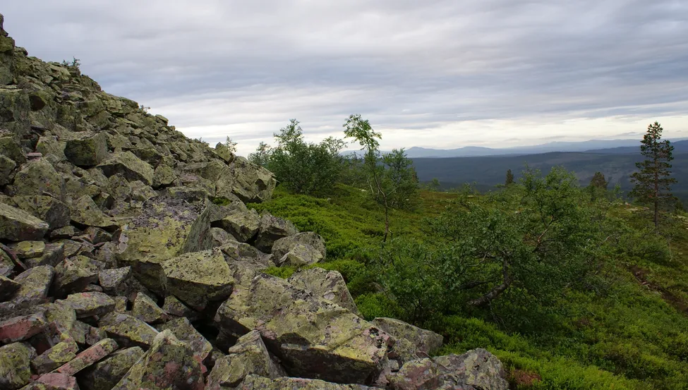 Klicka för att förstora