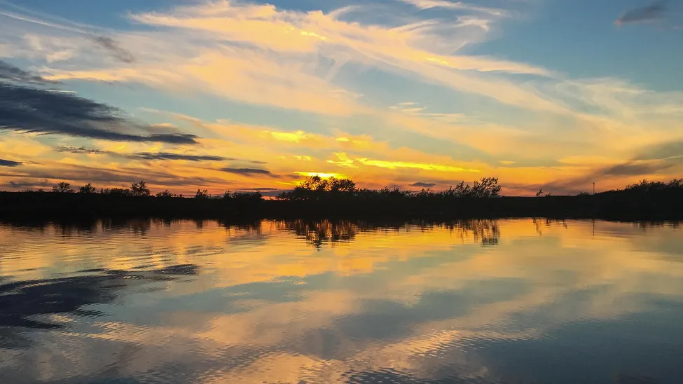 Klicka för att förstora