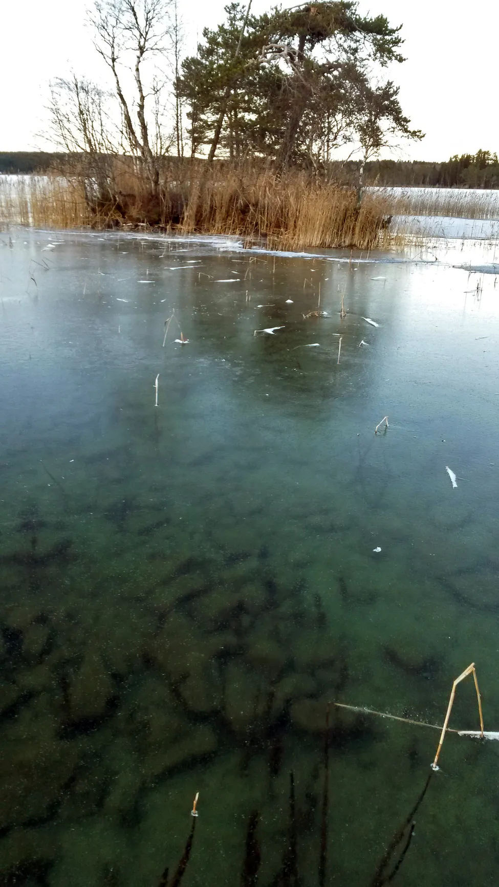 Klicka för att förstora