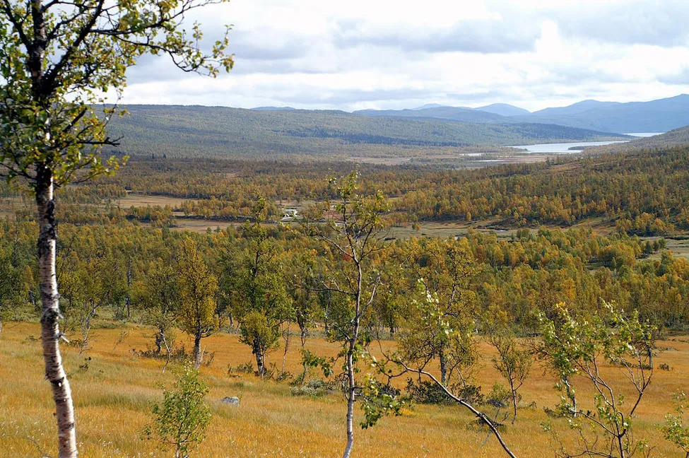 Klicka för att förstora