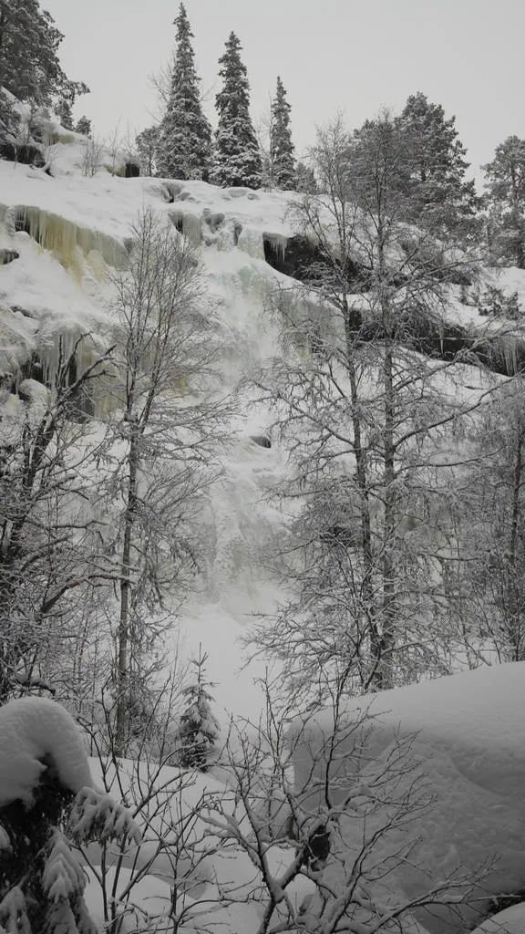 Klicka för att förstora