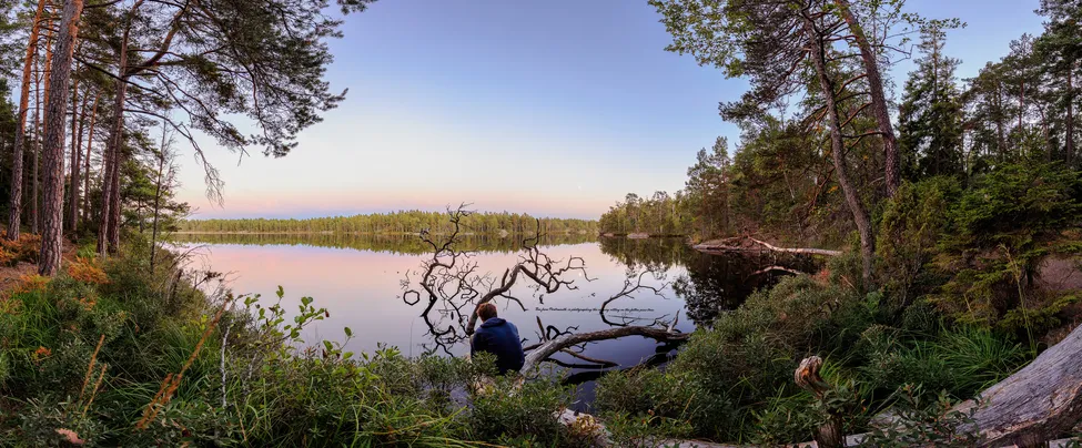 Klicka för att förstora