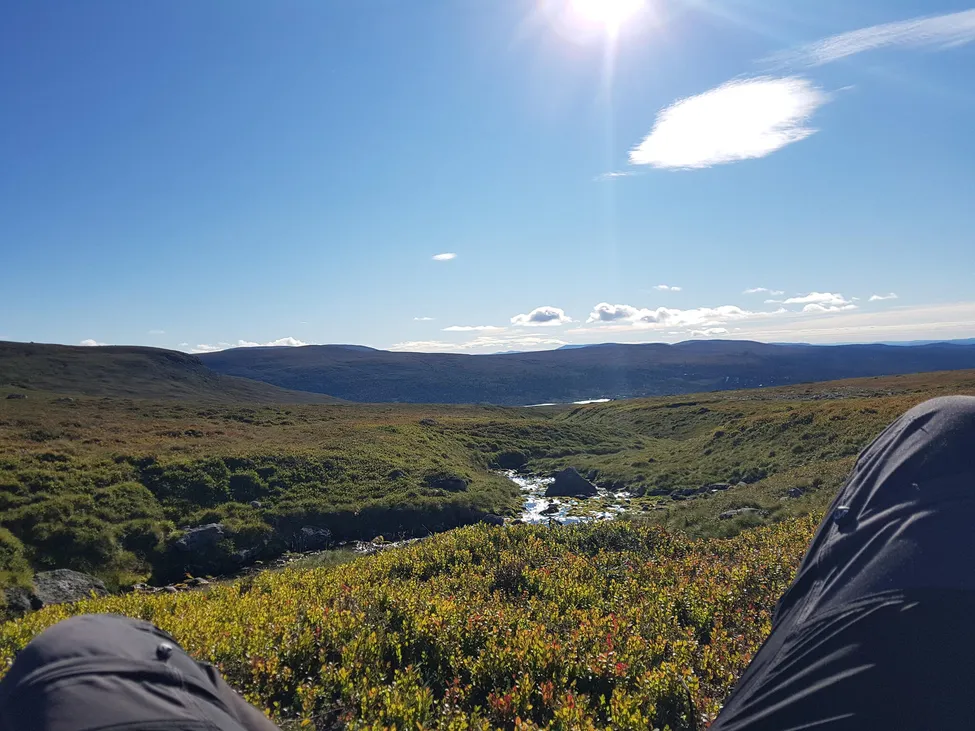 Klicka för att förstora