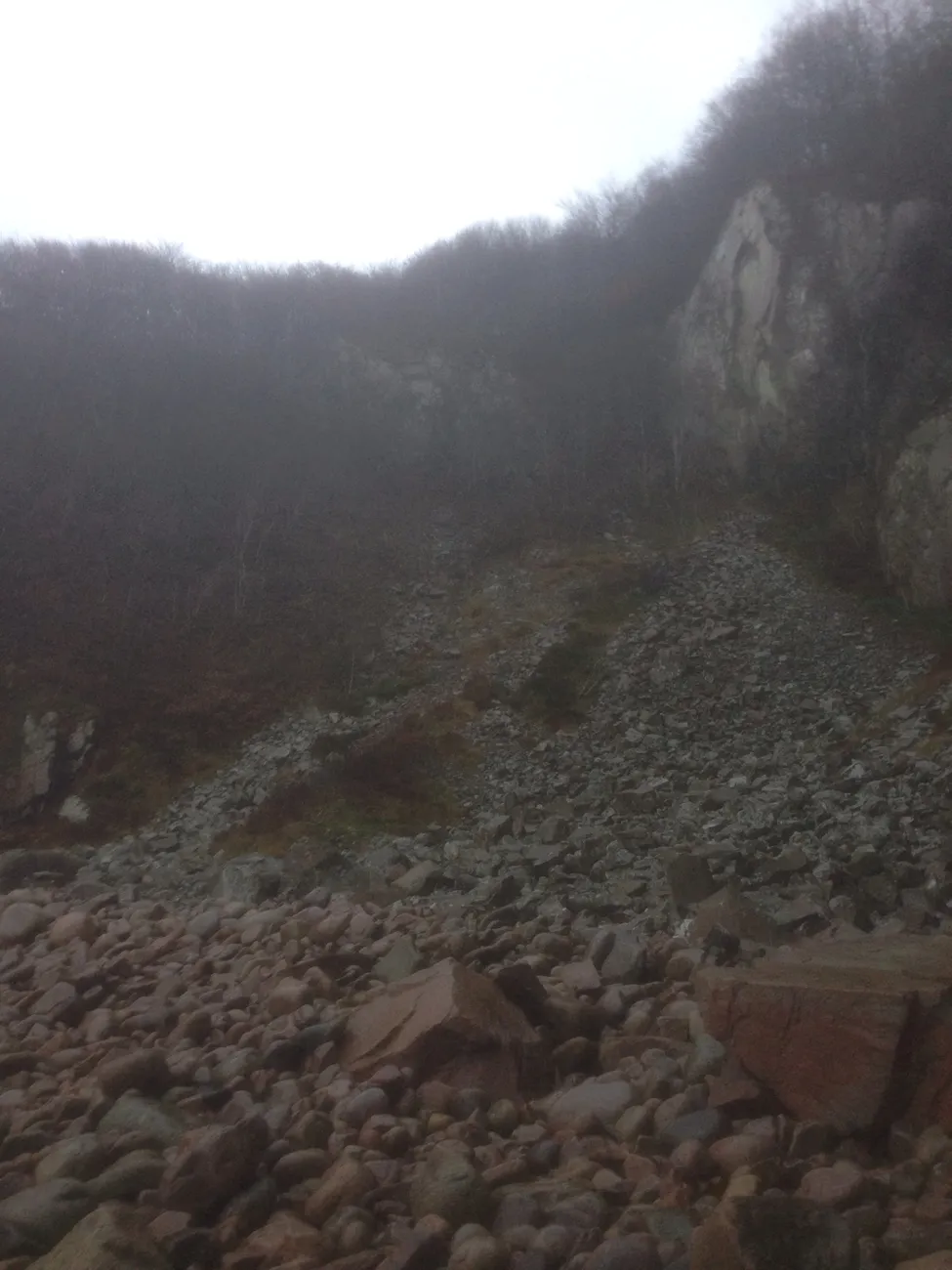 Klicka för att förstora