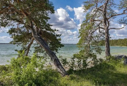 Bästeträsk – vår nästa nationalpark?
