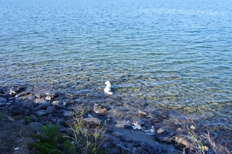 Klicka för att förstora