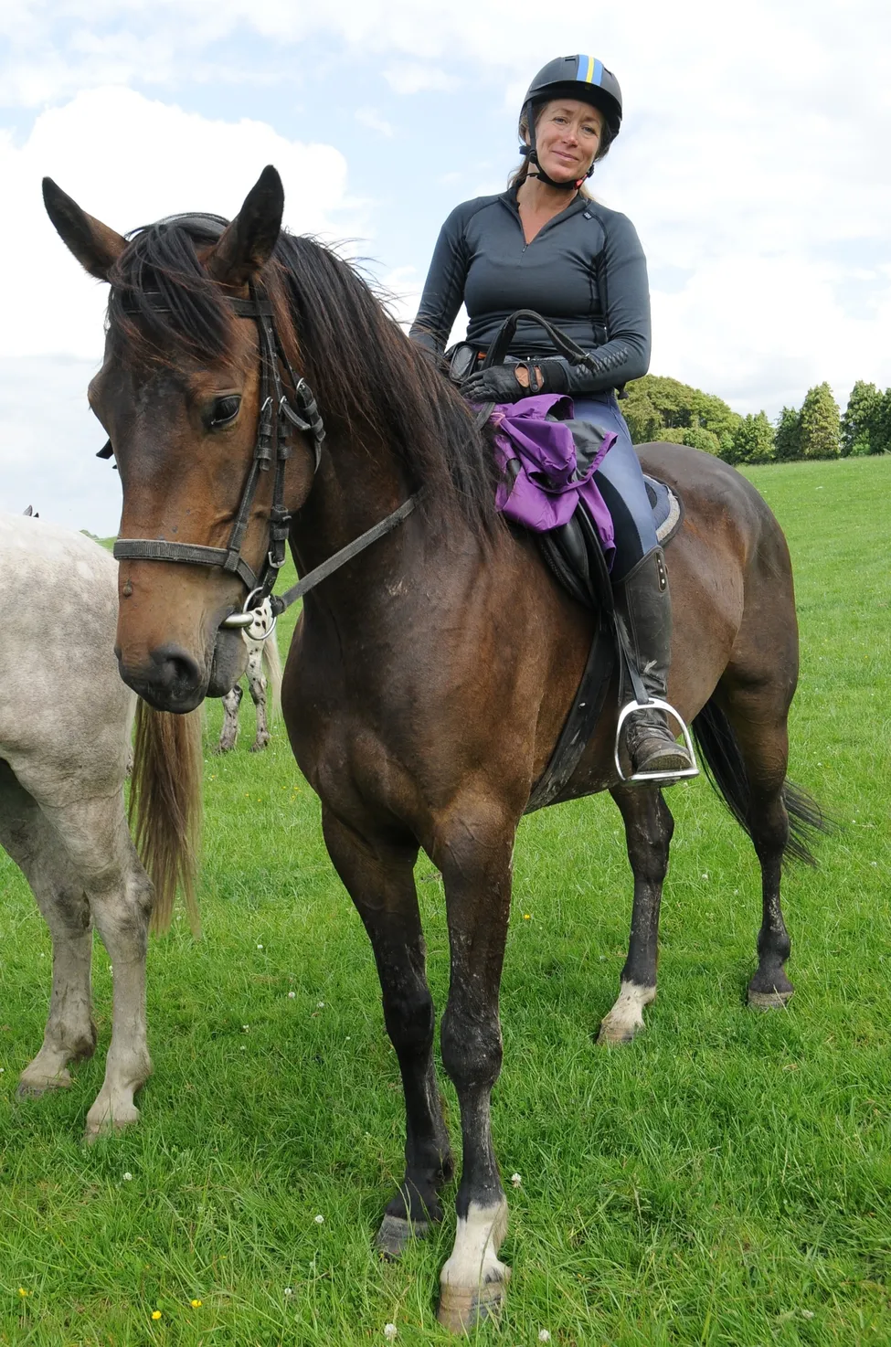 Klicka för att förstora