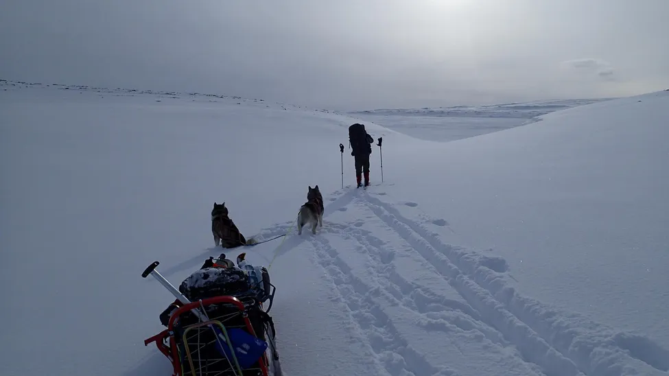 Klicka för att förstora