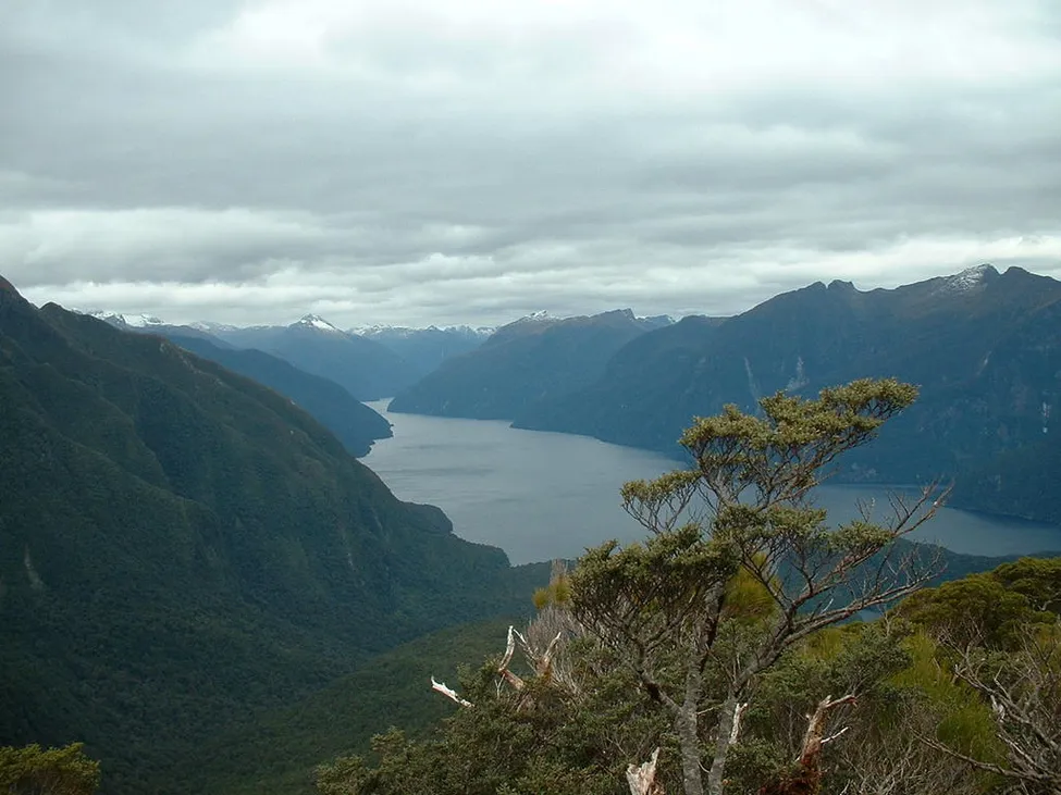 Klicka för att förstora
