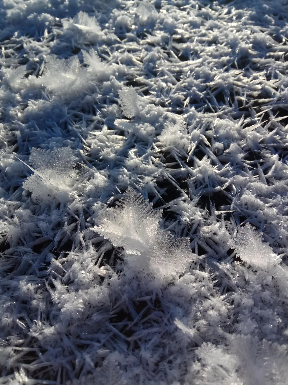 Klicka för att förstora