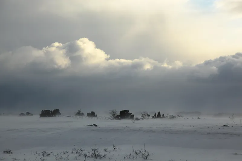 Klicka för att förstora