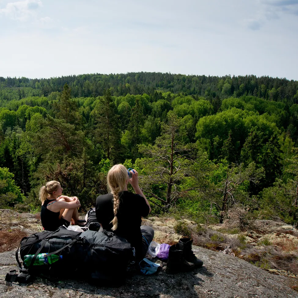 Klicka för att förstora