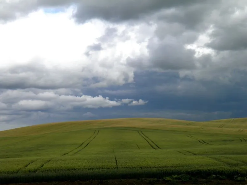 Klicka för att förstora