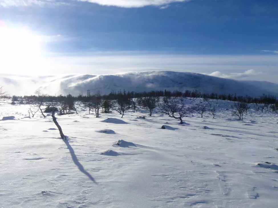 Klicka för att förstora