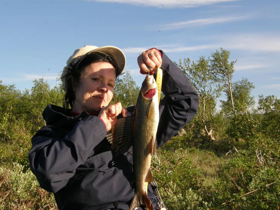 Klicka för att förstora