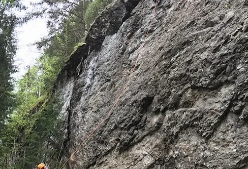 Ett stort steg i rätt riktning