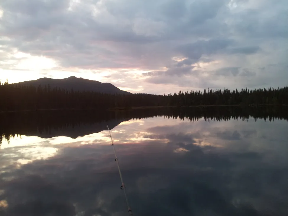 Klicka för att förstora