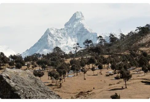 SWET 2010 - 17/3: Khumjung 3800 m ö h