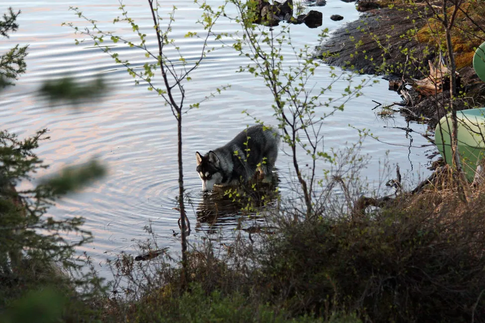 Klicka för att förstora