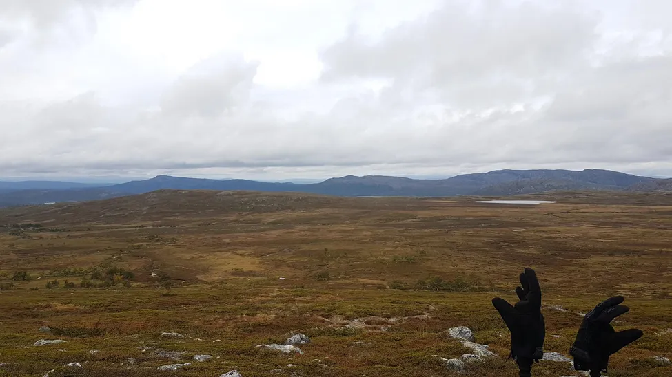 Klicka för att förstora