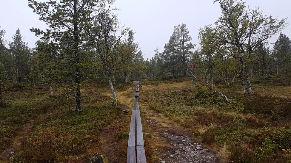 Klicka för att förstora