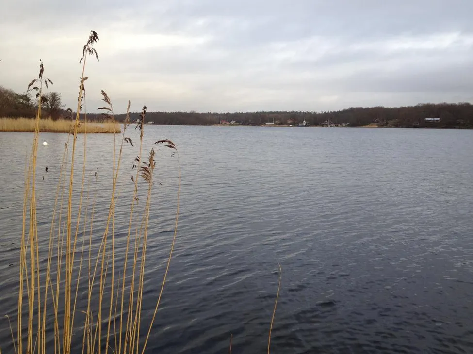 Klicka för att förstora