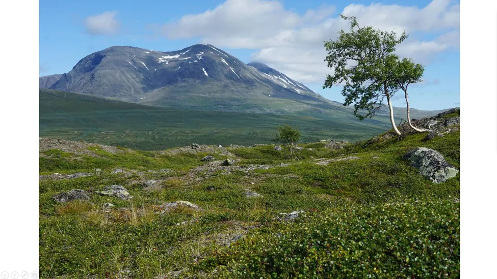 Klicka för att förstora