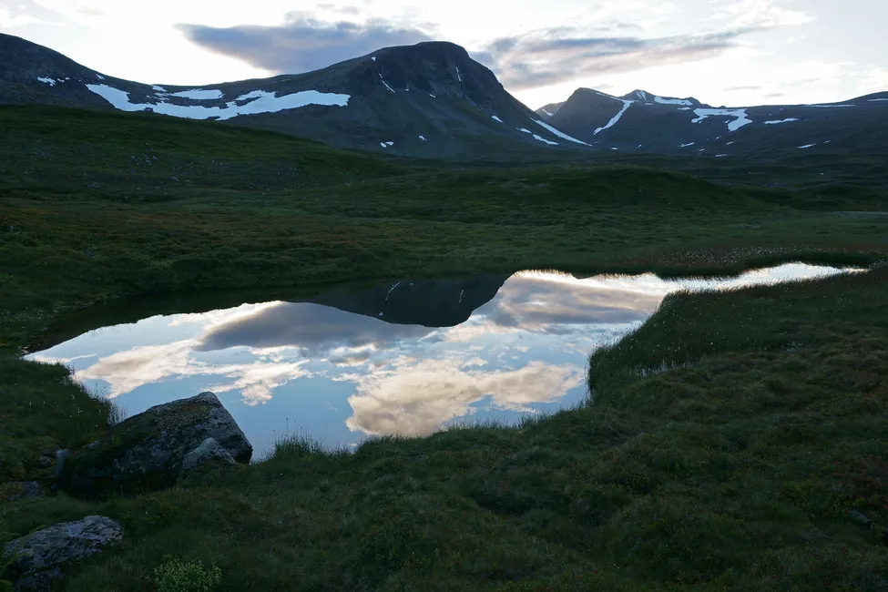 Klicka för att förstora