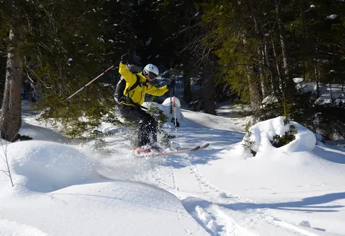 Skidtoppturer i Diemtigtal