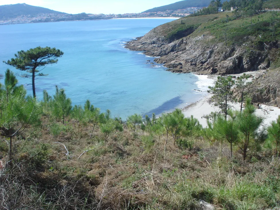 Klicka för att förstora