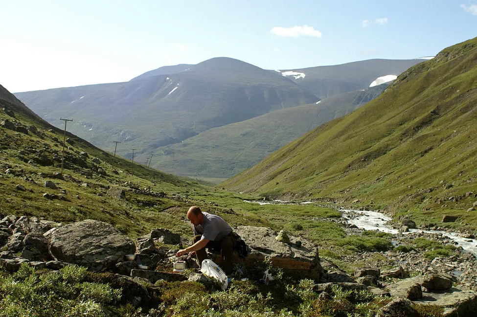 Klicka för att förstora
