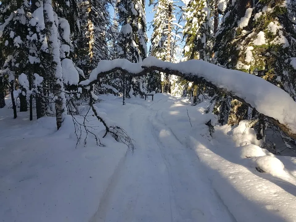 Klicka för att förstora