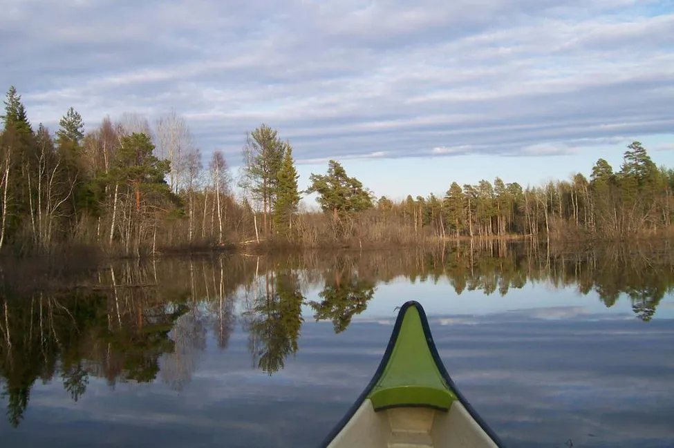 Klicka för att förstora