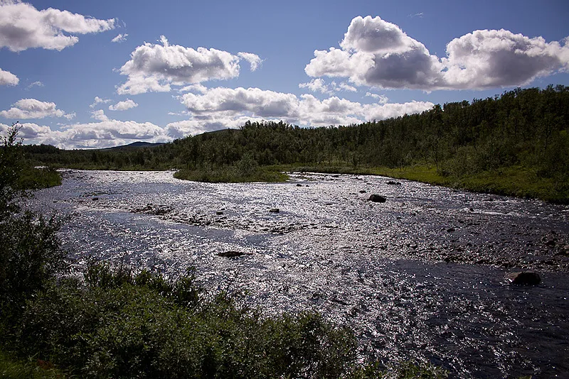 Klicka för att förstora