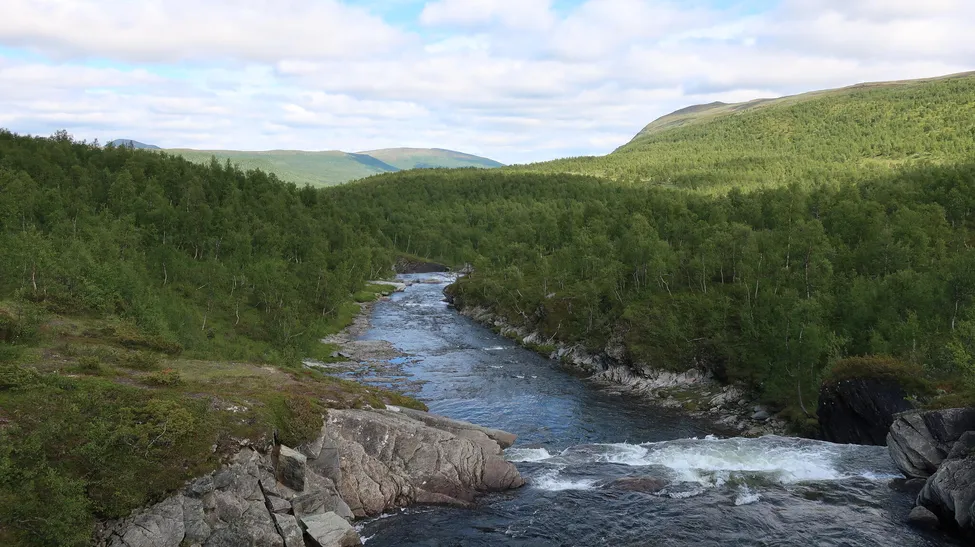 Klicka för att förstora