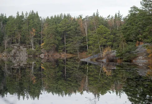 Säkrad framtid för natur i Stockholm – yta större än Södermalm