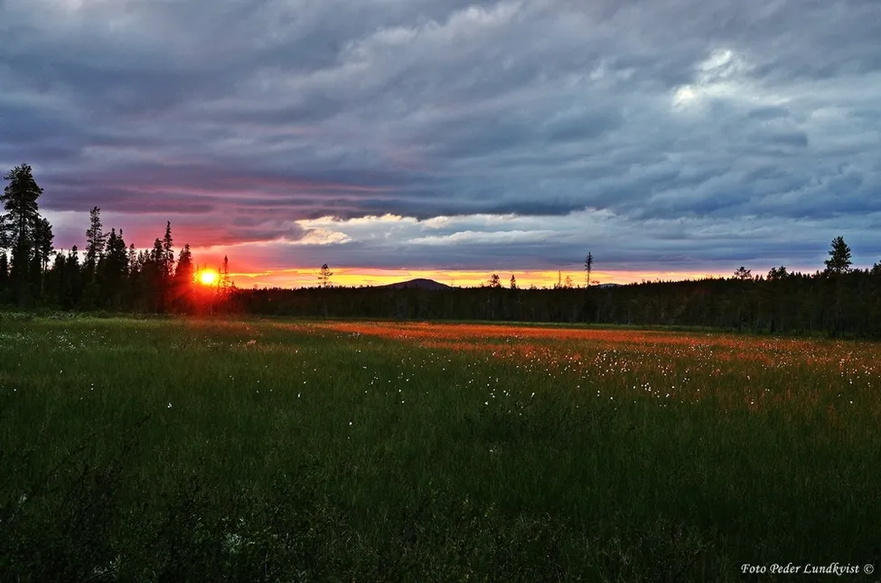 Klicka för att förstora