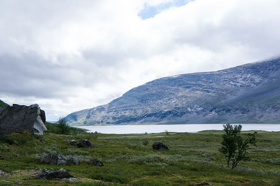 Klicka för att förstora