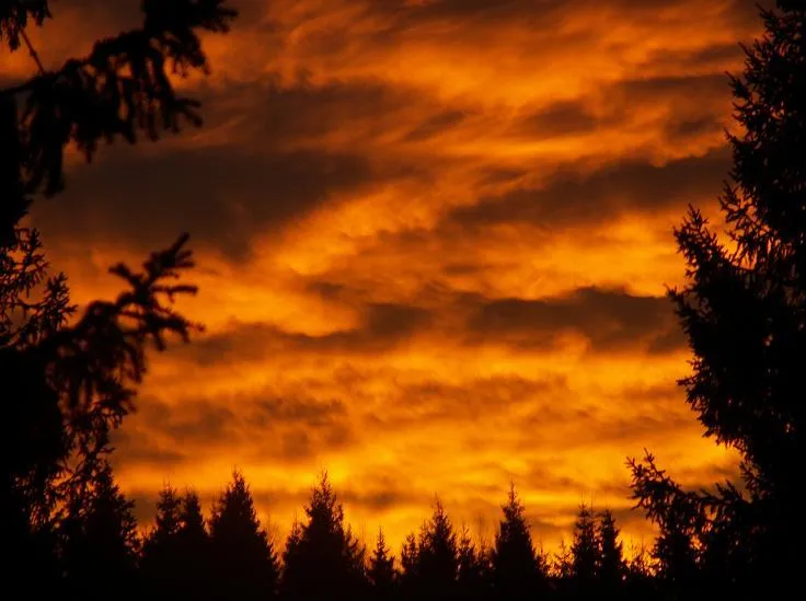 Klicka för att förstora