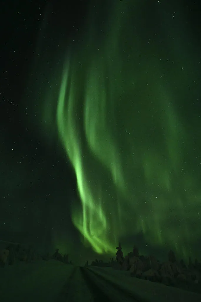 Klicka för att förstora