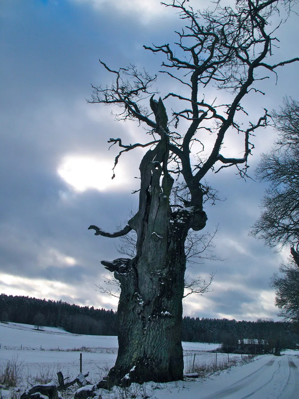 Klicka för att förstora