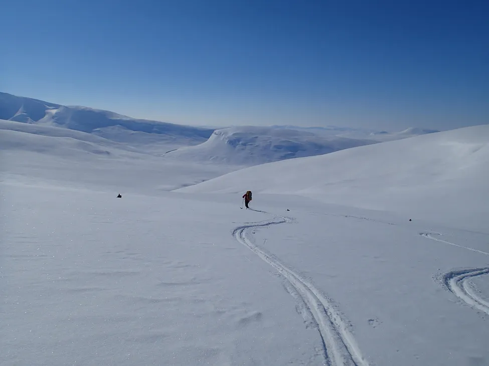 Klicka för att förstora