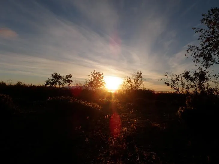 Klicka för att förstora