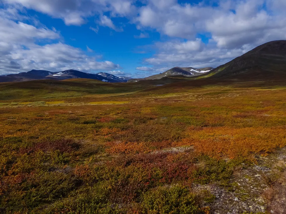 Klicka för att förstora