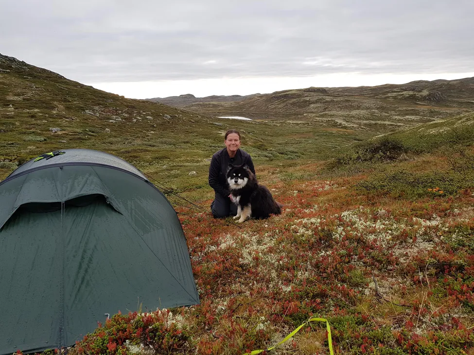 Klicka för att förstora